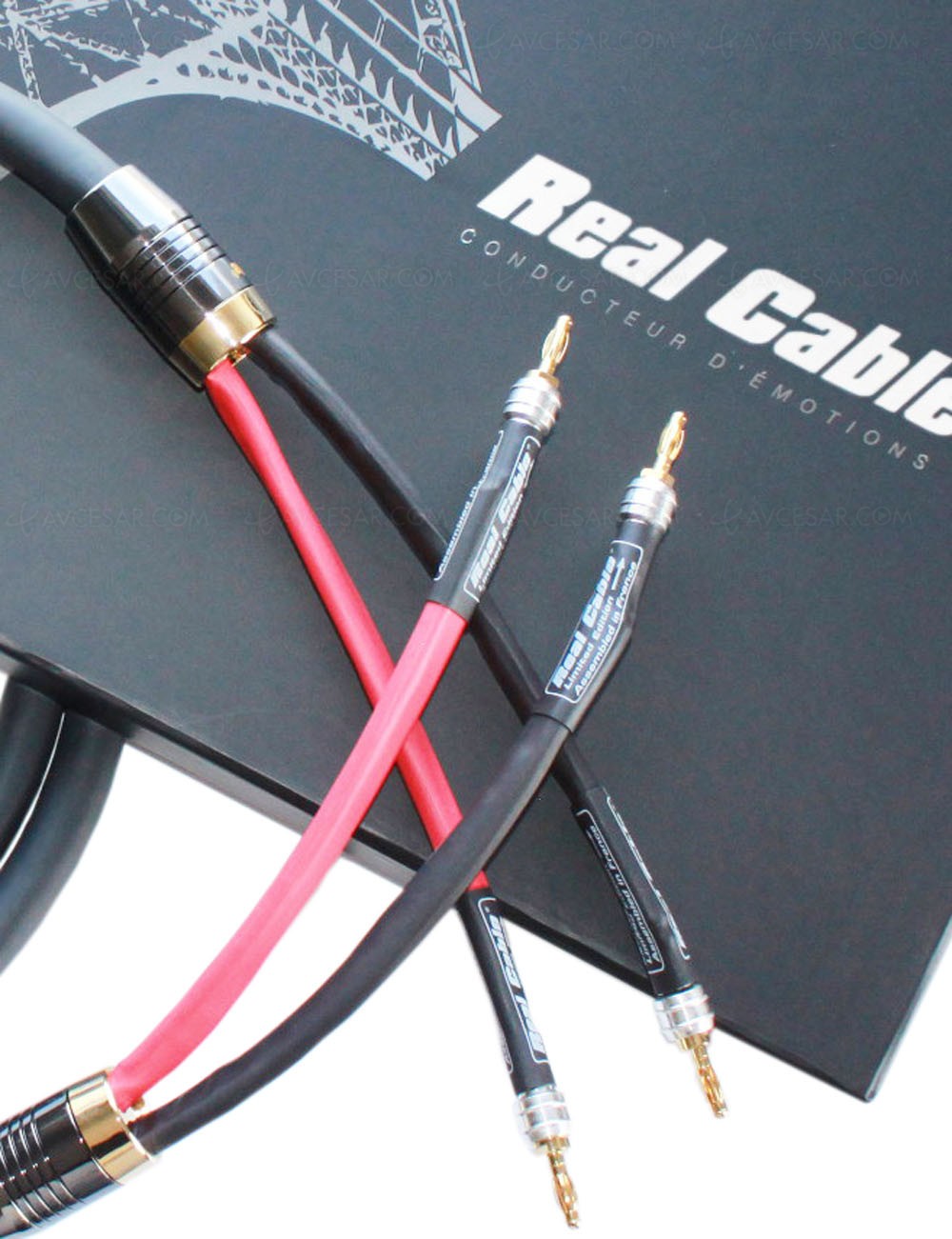REAL CABLE Chambord II SP Longueur 2m