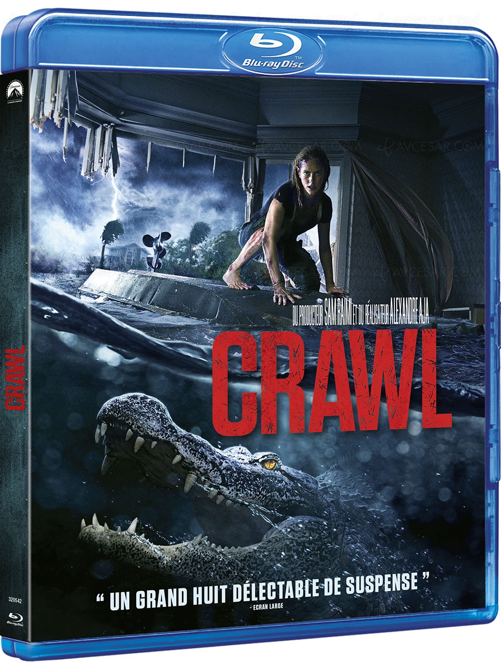 Crawl&nbsp;: des crocos féroces dans le film catastrophe d’Alexandre&nbsp;Aja