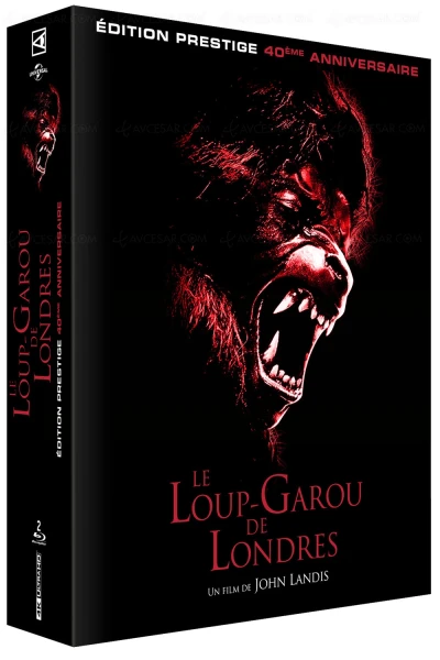 le-loup-garou-de-londres-le-classique-de-john-landis-en-4k-ultra-hd-le-24-aout