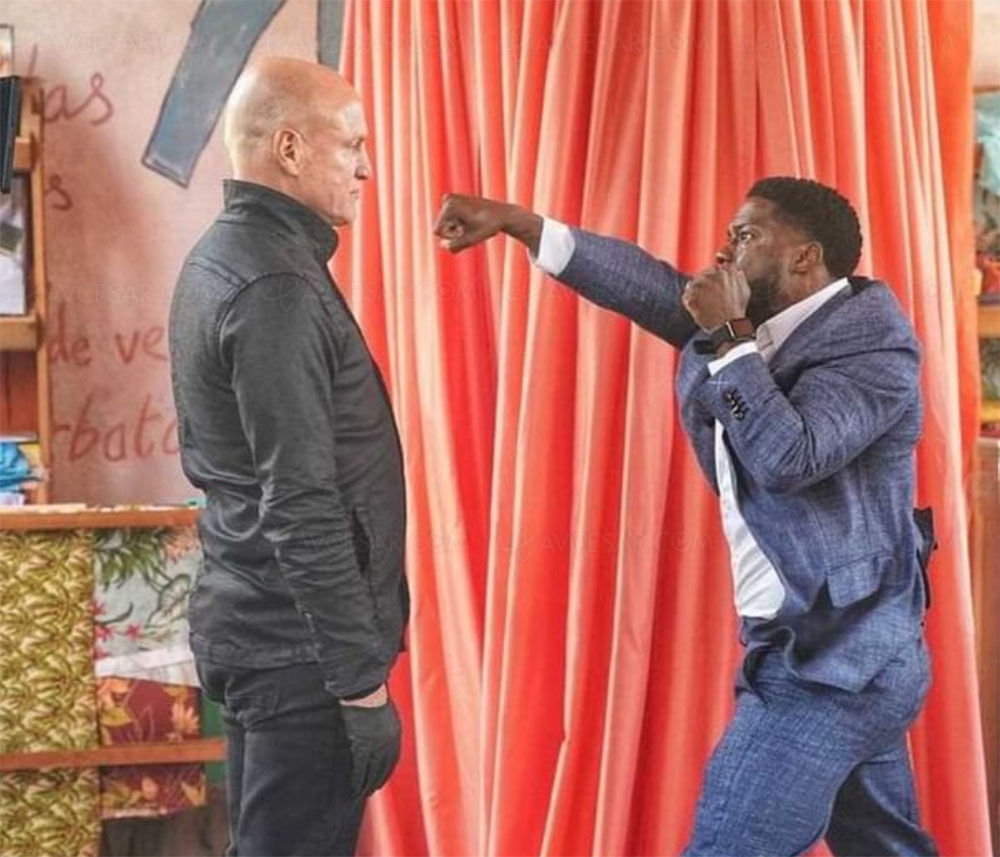 The&nbsp;Man from Toronto : Netflix se paie Kevin Hart et Woody&nbsp;Harrelson