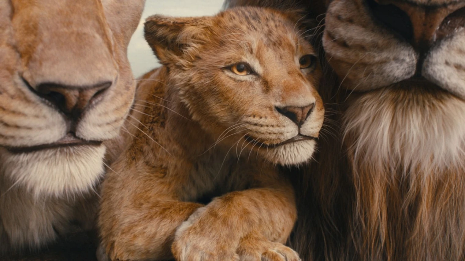 mufasa-4k-quand-comment-les-infos-viennent-de-tomber