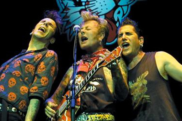 stray cats live download
